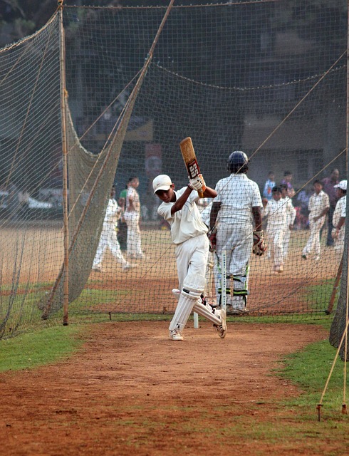 Sustainability Initiatives in Cricket: Case Studies and Best Practices