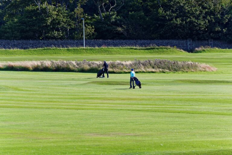 Exploring the Role of Groundskeepers in Community-Based Conservation Initiatives: Bet bhai 9, Playexch9 com login, Lotus365win